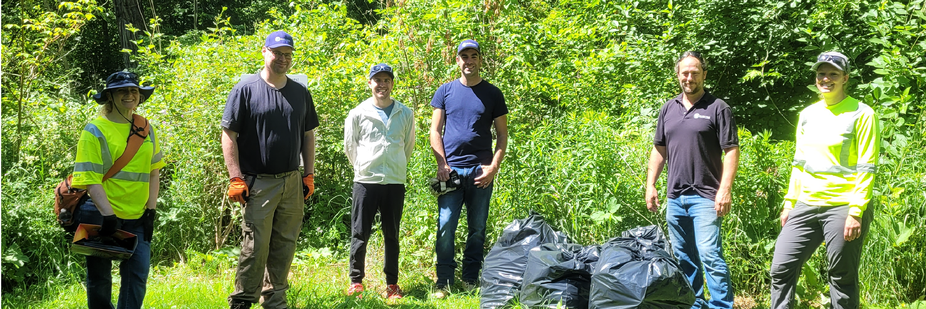 staff in the field with garbage bags full of invasive species