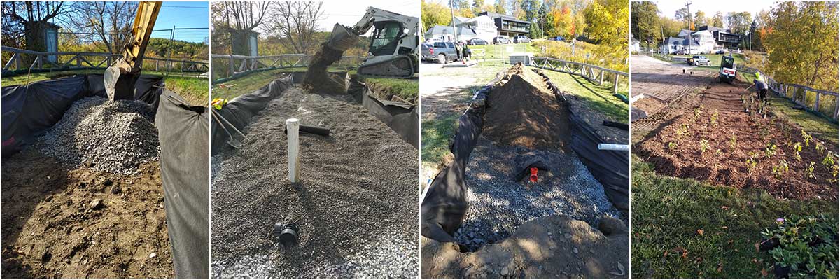 The progress of building the bioswale in four photos, from digging the swale, to planting native plants.