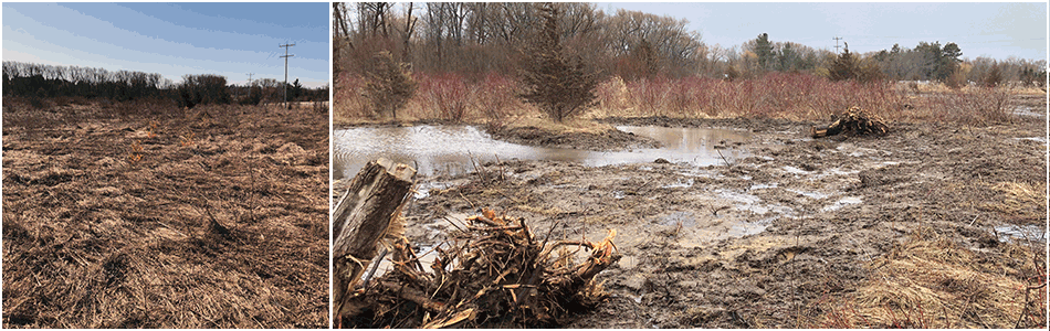 A new wetland was created at Luck Conservation Area, featured 3 new vernal pools.