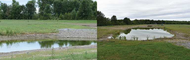 two stormwater ponds close to Lake Simcoe