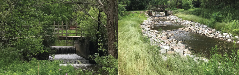 a before shot of a creek with a barrier and an after shot with the barrier removed and streambank naturalized